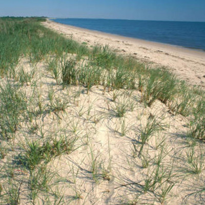 Timeline: Dust Bowl.