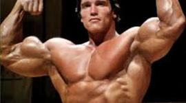Timeline: Arnold Schwarzenegger
