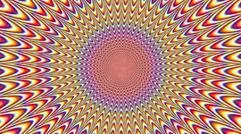 Timeline: The Lost Generation