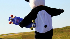 Timeline: The History of Longboards