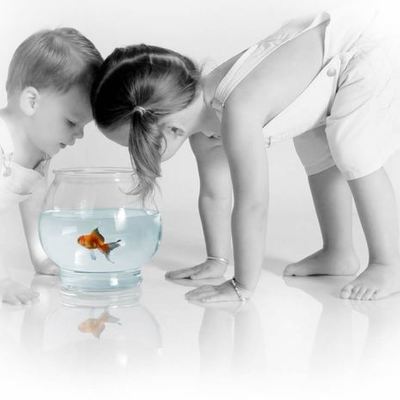 Timeline: Toddler Development