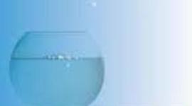 Timeline: Out Of My Mind-Emily Dumas