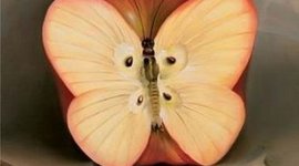 Timeline: Realismo Bueno