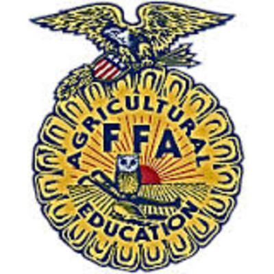 Timeline: Noel's FFA Timeline