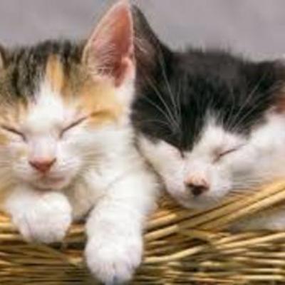 Timeline: Kady's Timeline