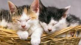 Timeline: Kady's Timeline