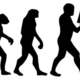 Evolution