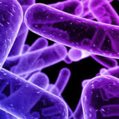 Timeline: historia de la microbiologia
