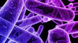 Timeline: historia de la microbiologia