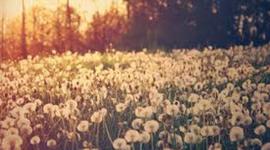 Timeline: ANTECEDENTES HISTÓRICOS DE LA PSICOLOGÍA. linea de tiempo