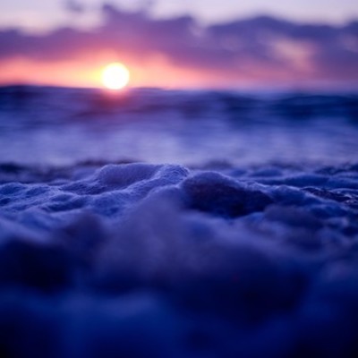 Timeline: Timeline of Tom Sims