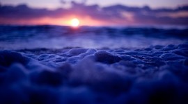 Timeline: Timeline of Tom Sims