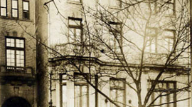 Timeline: WHRC Timeline 2014