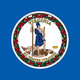 Va flag