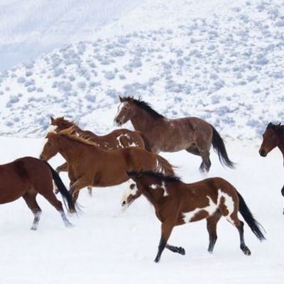 Timeline: Something about me