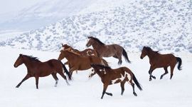 Timeline: Something about me