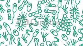 Timeline: La historia de la microbiologia