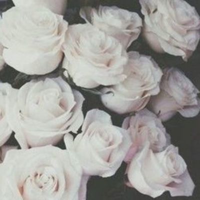 Timeline: La historia de la psicologia