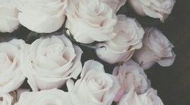 Timeline: La historia de la psicologia