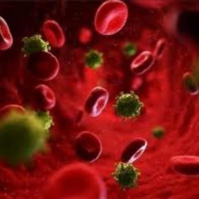 Timeline: Historia de la microbiologia