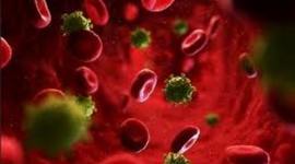 Timeline: Historia de la microbiologia