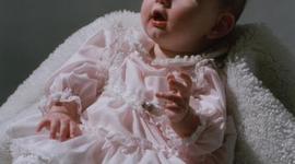 Timeline: Taylor's Timeline