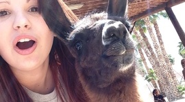 Timeline: Project 1: My Life