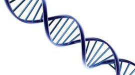 Timeline: DNA Timeline by Lael, Nick and Caleb
