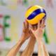 Volleybal