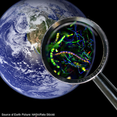 Timeline: Eventos en la historia de la microbio-logia