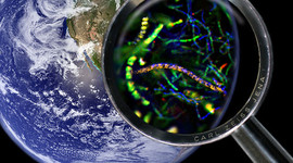 Timeline: Eventos en la historia de la microbio-logia