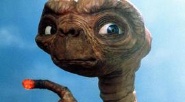 Timeline: Las Estapas de Vida- Timmy Jones