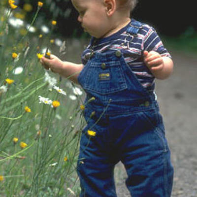 Timeline: Toddler Timeline