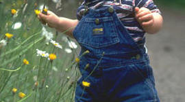 Timeline: Toddler Timeline