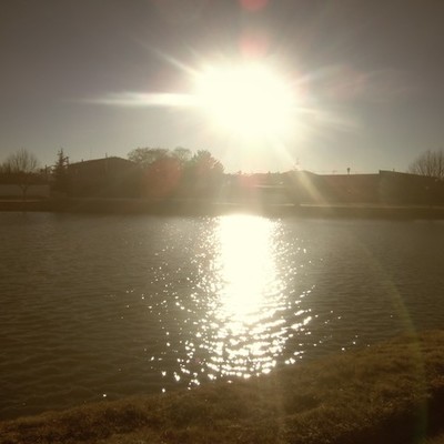 Timeline: Linea del Tiempo Desarrollo Sustentable