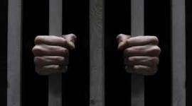 Timeline: Actividad 2. Derecho de Ejecucion de las Penas. Evolución del Derecho Penitenciario en México