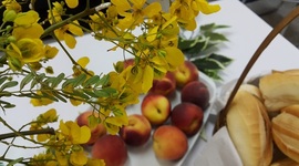 Timeline: Setor 4 - 2015