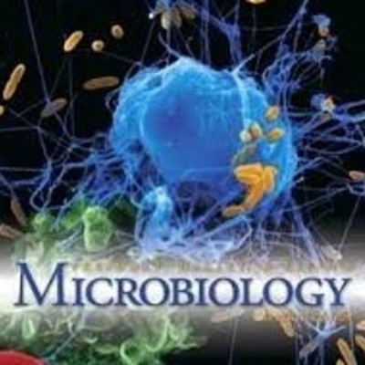 Timeline: MICROBIOLOGIA