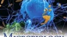 Timeline: MICROBIOLOGIA