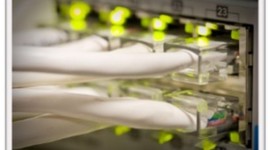 Timeline: Evolución de las redes de datos