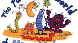 Timeline: history of microbiology