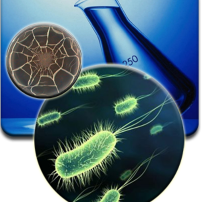 Timeline: HISTORIA DE LA MICROBIOLOGIA