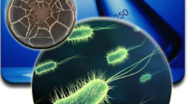 Timeline: HISTORIA DE LA MICROBIOLOGIA