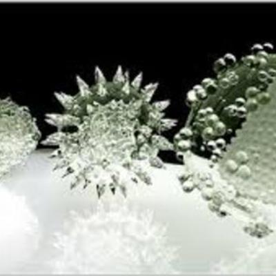 Timeline: como empezo la microbiologia