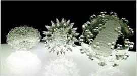 Timeline: como empezo la microbiologia