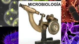 Timeline: HISTORIA DE LA MICROBIOLOGIA