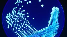 Timeline: 30 HECHOS RELEVANTES EN LA MICROBIOLOGÍA