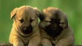 Timeline: Government