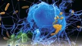 Timeline: Historia de la Microbiologia