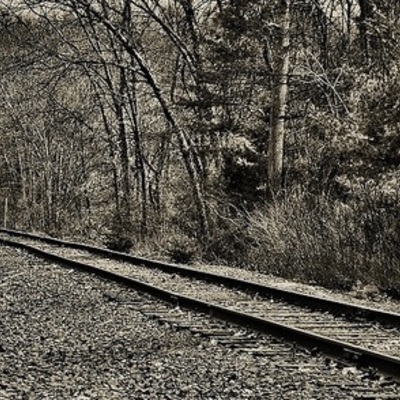 Timeline: Progressive Era: Transcontinental Railroad and its impact on the growth of the west